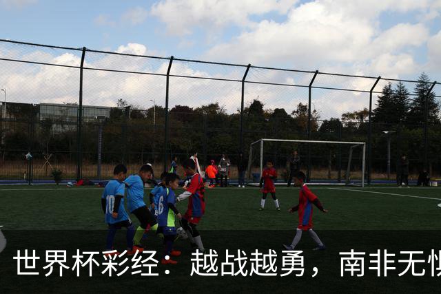 世界杯彩经：越战越勇，南非无惧加拿大
