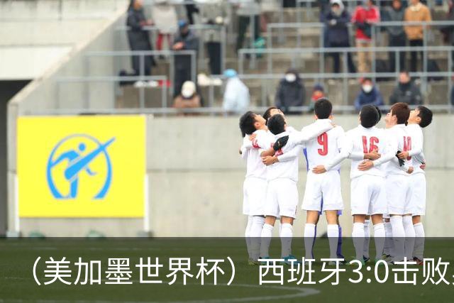 （美加墨世界杯）西班牙3:0击败奥地利 本届世界杯保持零失球